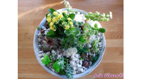 Vas ceramic oval cu plante suculente a_1924328558