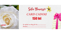 Card cadou 150 lei card_150lei