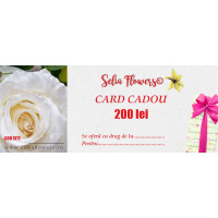 card_200lei
