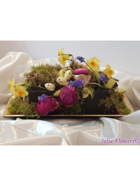 Decor pascal elegant 1_512503527
