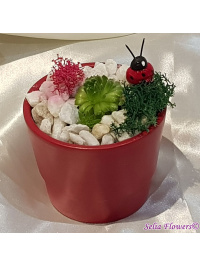 Martisor in vas ceramic rosu tip ghiveci 1_978004952
