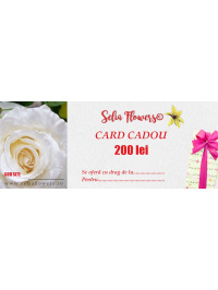 card_200lei